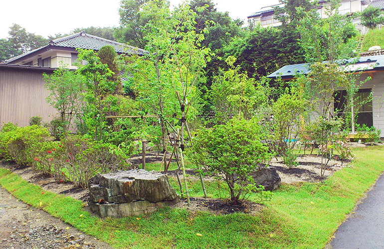 ザ・雑木のお庭