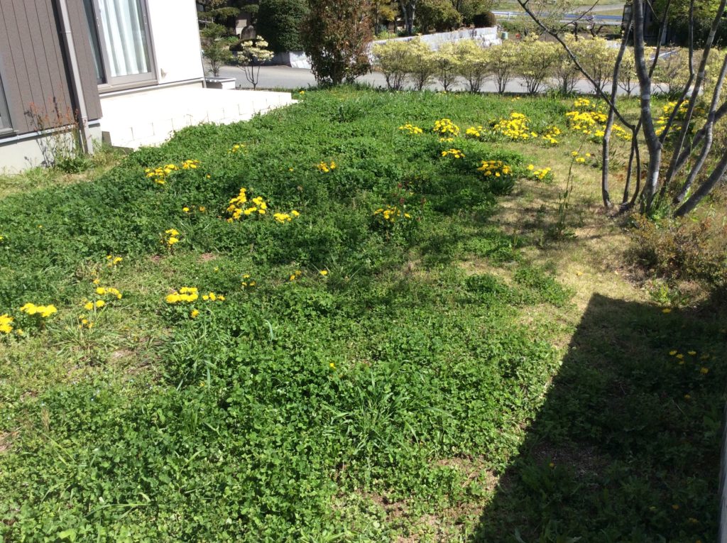 春のお困り事解決方法 伍福園