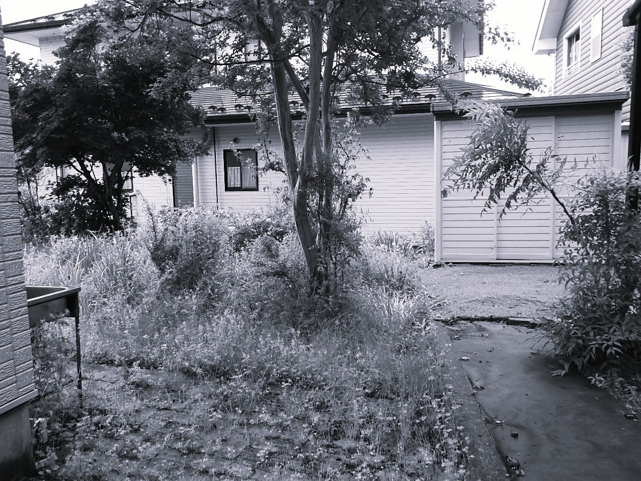 着手前（before）
